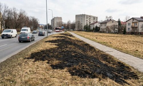 Sezonowy wzrost pożarów traw w Bielsku-Białej. Straż pożarna przypomina o zasadach bezpieczeństwa