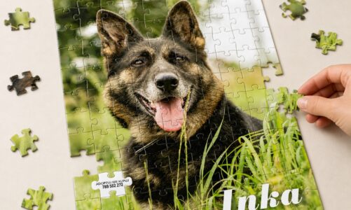 Pięć psów, trzy salony i jeden brakujący puzzel. W Poznaniu rusza akcja adopcyjna dla Schroniska w Skałowie